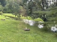 IMG_0281.JPG