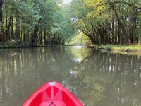20210911 Sugar Creek 1.JPG