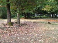 IMG_0130a.jpg