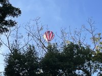 IMG_0370 (1).JPG