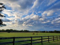 Side Pasture.jpg