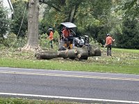 IMG_0394.JPG
