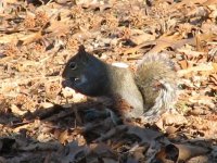 896707-IMG_0093.JPG