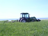 896723-2006 spring Beach mow 001 (Small).jpg