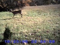 PIC_0016.JPG