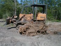 897739-stump-6.JPG