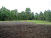897821-wetland gone.JPG