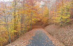 fall drive.jpg