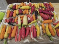 carrots1.jpg