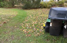 IMG_0457 (2).JPG