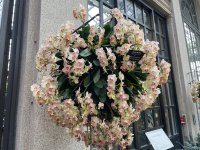 IMG_0491.JPG