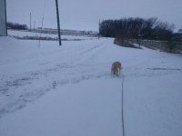 2021 snow a.jpg