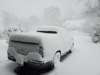 DE snow.jpg