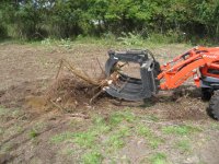 IMG_0188 during stump.JPG