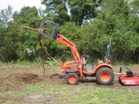 IMG_0195 after stump.JPG