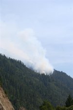 small plume.JPG