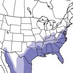 Black-Vulture_map.jpg