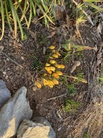 IMG_3843.JPG