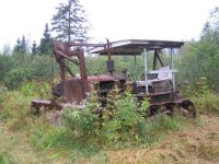 D74T.JPG