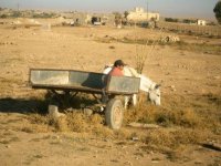 tractor2.JPG