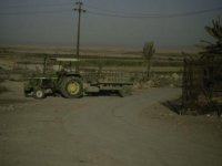 tractor3.JPG