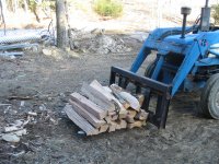 09-03-24, Workin' up big Maple 011.jpg