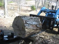 09-03-24, Workin' up big Maple 001.jpg