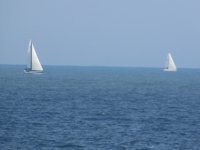 IMG_0043.JPG
