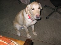 March 20120001.JPG