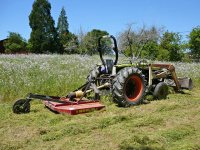 906632-P1000832rMowing.jpg
