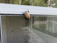 IMG_0969.JPG