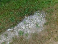 DSCN8111.JPG