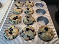 IMG_1037 (1).JPG