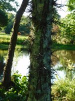 DSCN0254.JPG