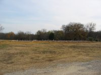 Thanksgiving 06 007.jpg