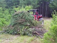 Pile-o-brush sm.jpg