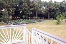 From deck0161.jpg