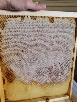 E7159256-1BB9-4246-9B39-994906E99E11.jpeg