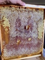 7C7E301C-FDC2-444E-A894-2531D8CE4506.jpeg