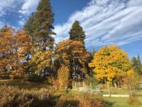 fall arrived.jpg