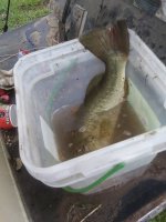 IMG_20220913_212128.jpg