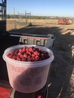 8AE74959-1C3D-416E-BC62-B00396286720.jpeg