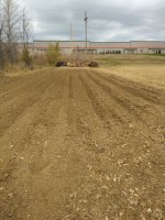 IMG_20221103_121015.jpg