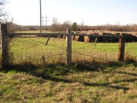 Gate Post Bracing.JPG