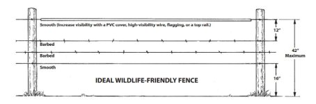 WildlifeFence.jpg