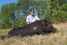 Steph's third hog, 20 Aug 2006.jpg