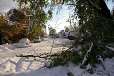 Storm 2006 017.jpg