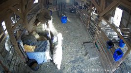 IMG_1607.jpg