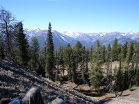 Top_of_the_World (Medium).JPG