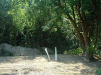 pic7small.JPG